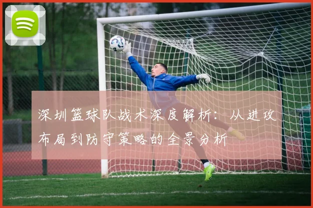 深圳篮球队战术深度解析：从进攻布局到防守策略的全景分析