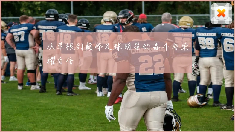 从草根到巅峰足球明星的奋斗与荣耀自传