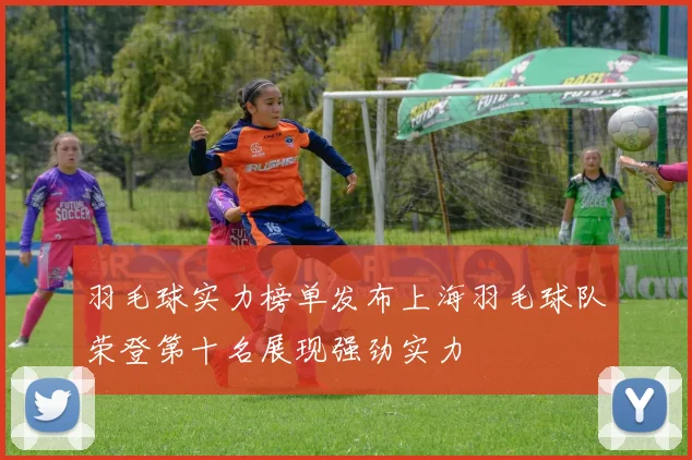 羽毛球实力榜单发布上海羽毛球队荣登第十名展现强劲实力