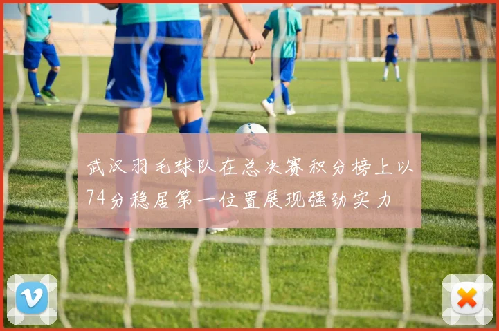 武汉羽毛球队在总决赛积分榜上以74分稳居第一位置展现强劲实力