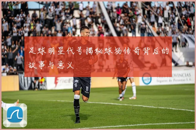 足球明星代号揭秘球场传奇背后的故事与意义