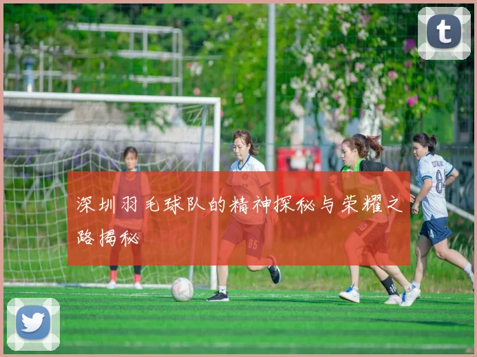 深圳羽毛球队的精神探秘与荣耀之路揭秘