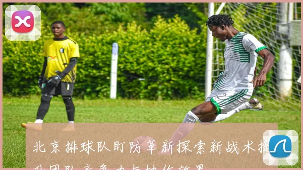 北京排球队盯防革新探索新战术提升团队竞争力与协作效果