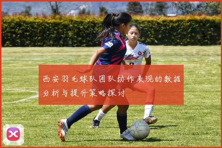 西安羽毛球队团队协作表现的数据分析与提升策略探讨