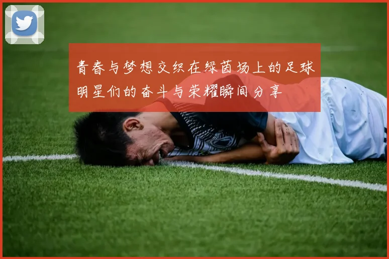 青春与梦想交织在绿茵场上的足球明星们的奋斗与荣耀瞬间分享