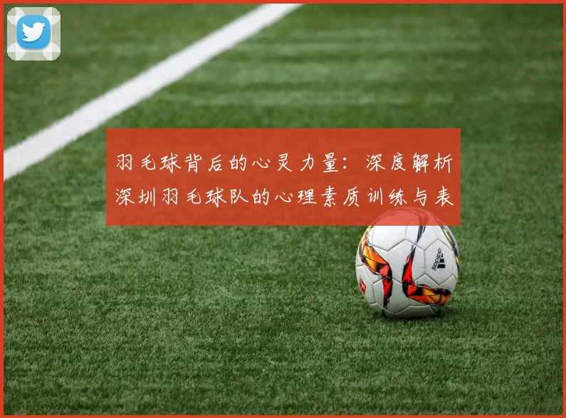 羽毛球背后的心灵力量：深度解析深圳羽毛球队的心理素质训练与表现