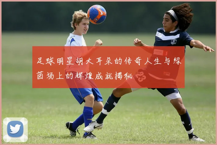 足球明星胡大耳朵的传奇人生与绿茵场上的辉煌成就揭秘