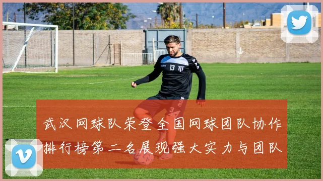 武汉网球队荣登全国网球团队协作排行榜第二名展现强大实力与团队精神