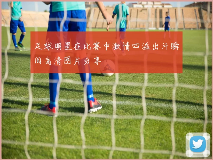 足球明星在比赛中激情四溢出汗瞬间高清图片分享