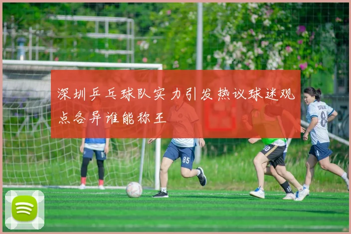 深圳乒乓球队实力引发热议球迷观点各异谁能称王