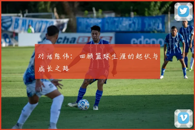 对话陈伟：回顾篮球生涯的起伏与成长之路